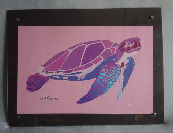 紫香楽様専用ウミガメ 1枚目の画像