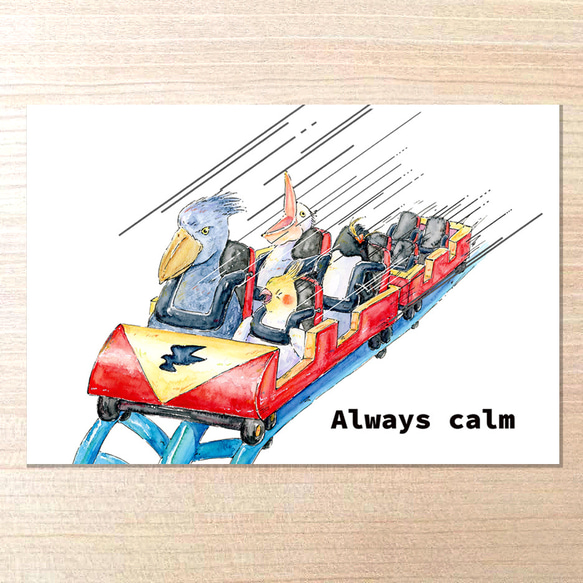 選べるポストカードセット（54.ハシビロコウとジェット