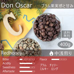 コスタリカ 400g ドン・オスカル【送料無料】"プラムな果実感" レッドハニー トップスペシャルティコーヒー 1枚目の画像