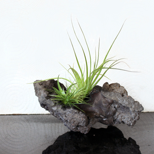 富士山溶岩の花器 一輪挿し・花瓶・花器 デザイン計画「そと」 通販
