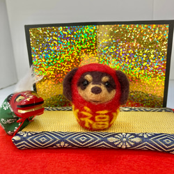 cce7d9f473c49a7f0eb65dc317fedc