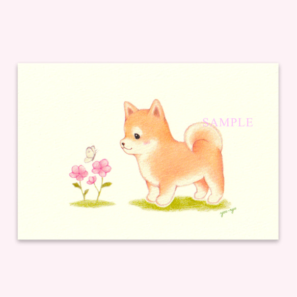 ポストカード『柴犬ちゃんのお散歩』 1枚目の画像