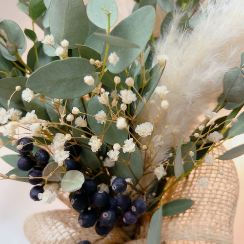 neko10. パンパスと香り銀葉ユーカリのスワッグ51cm［376] ユーカリ銀