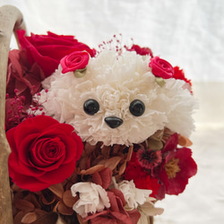 ご希望のペットとお花いっぱいの花かご Mサイズ【受注制作】　犬　猫　ペットのお悔やみ　プリザーブドフラワー　プレゼント　 7枚目の画像