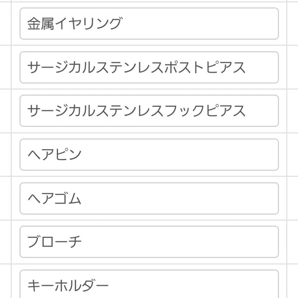 再販　数量限定シークレット福袋　2000円以上のアクセサリーが２つ入ってます。一個だけ種類選択できます。 6枚目の画像