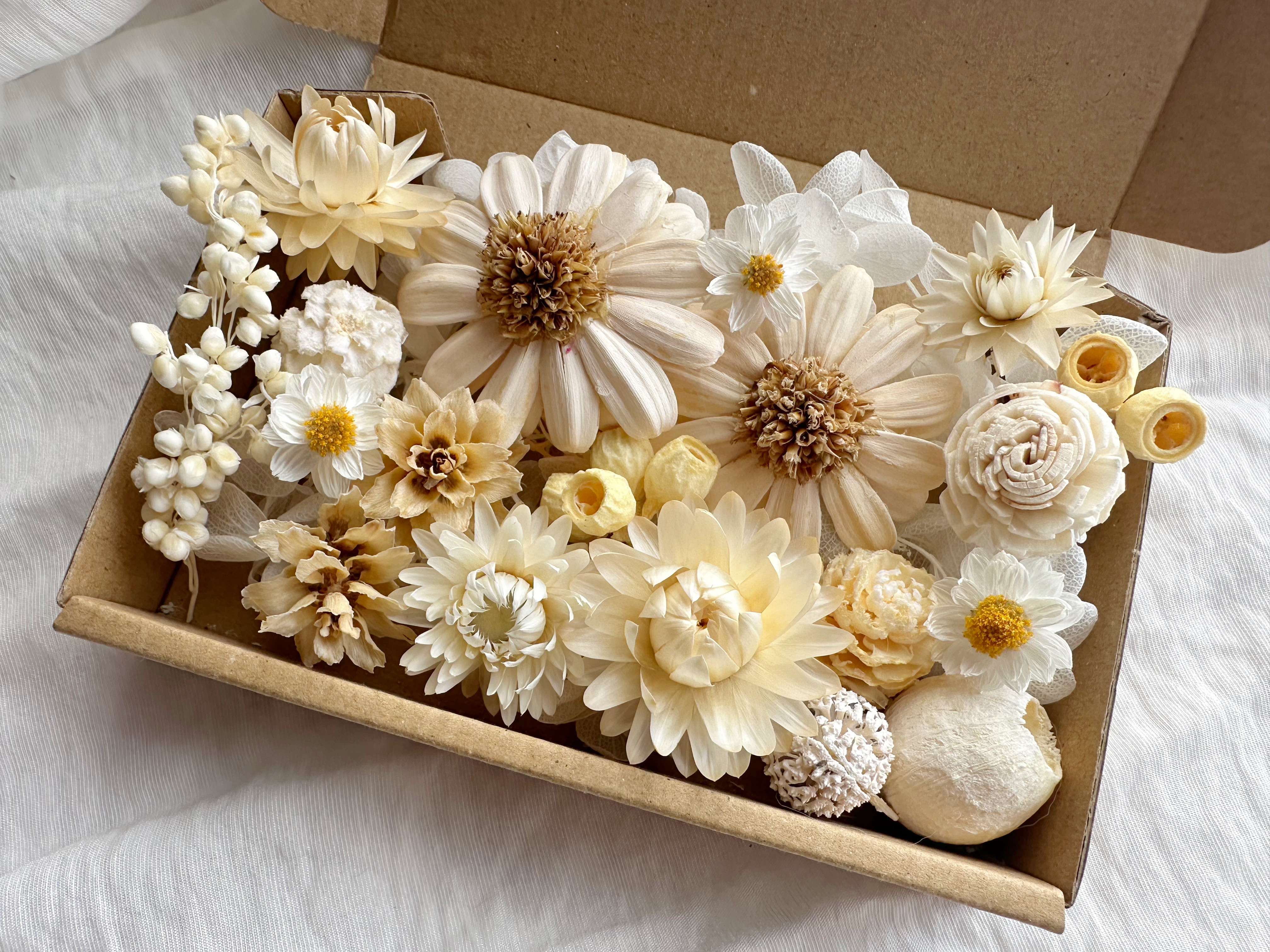 花材セット　花材詰め合わせ　プリザーブドフラワー　ドライフラワー　木の実セット たっぷり お花と木の実の詰め合わせ① ドライフラワー 花材