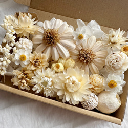 花材セット　花材詰め合わせ　プリザーブドフラワー　ドライフラワー　木の実セット Flower Box♥︎︎∗︎* 木の実❁プリザーブドフラワー 花材