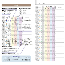 【2024福袋】頭痛持ちさんの毎日のためのダイアリー&お薬手帳入福袋【送料込み】 6枚目の画像