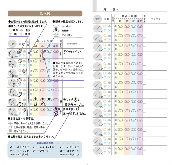 【2024福袋】頭痛持ちさんの毎日のためのダイアリー&お薬手帳入福袋【送料込み】 6枚目の画像