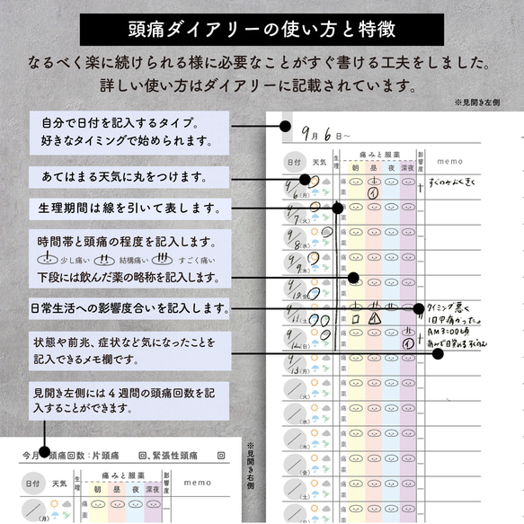 【2024福袋】頭痛持ちさんの毎日のためのダイアリー&お薬手帳入福袋【送料込み】 5枚目の画像