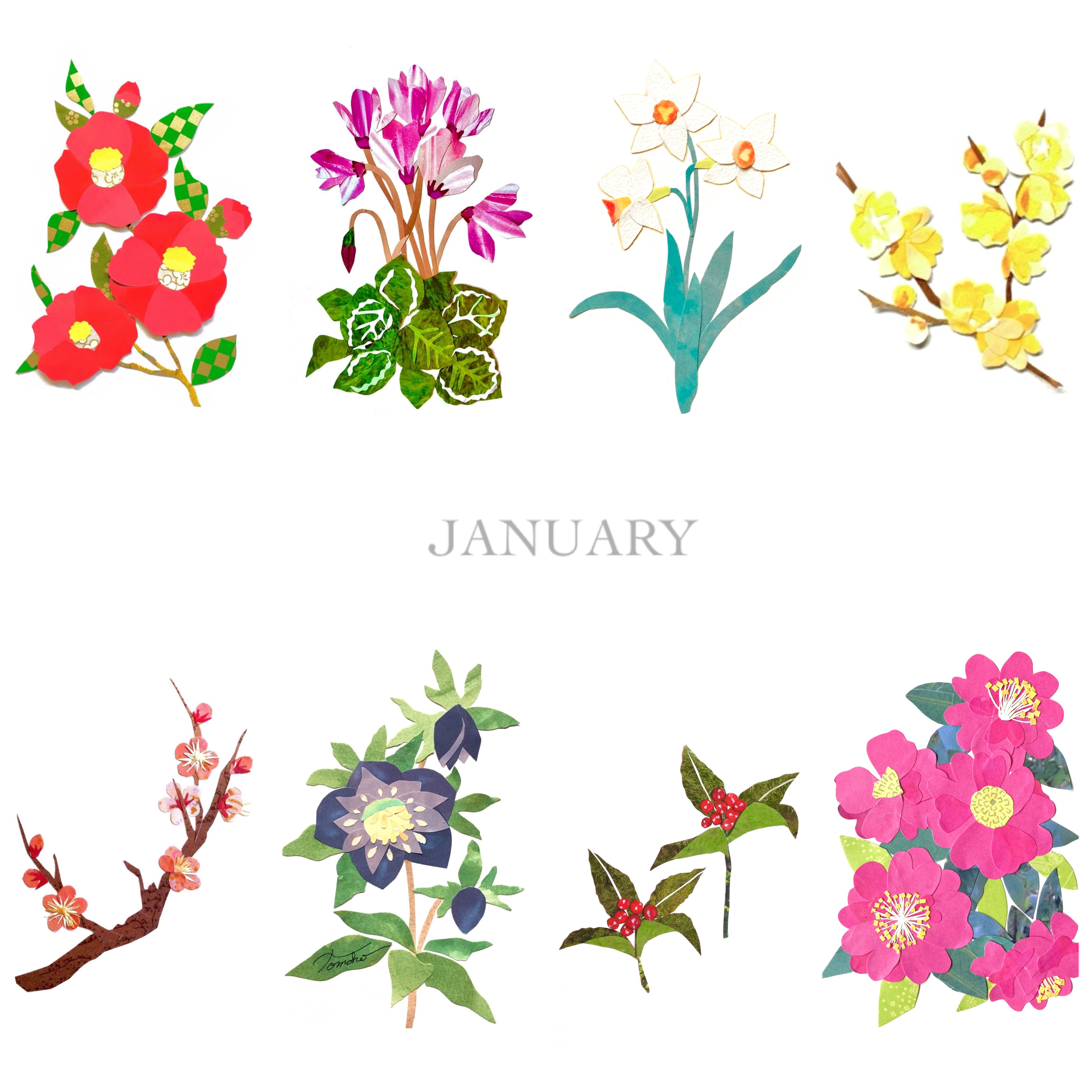 1月頃の花ポストカードセット ポストカード tomocollage 通販