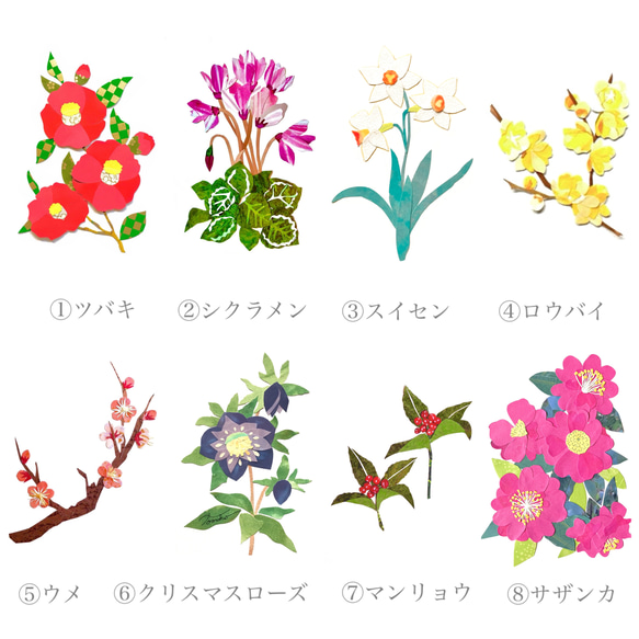 1月頃の花ポストカードセット 2枚目の画像