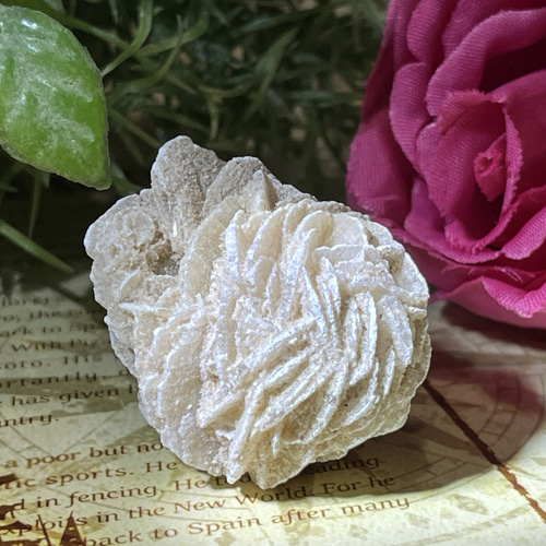 特大✨　知性の石　砂漠の薔薇　デザートローズ　セレナイト　ラフストーン　原石 知性の石】砂漠の薔薇 デザートローズ セレナイト 原石 ラフストーン