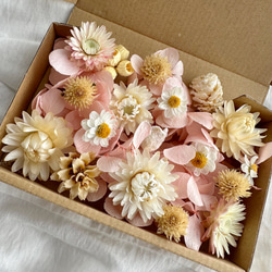 花材セット　花材詰め合わせ　プリザーブドフラワー　ドライフラワー　木の実セット 花材セット 花材詰め合わせ ドライフラワー その他素材 momo