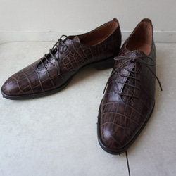 427dcedf53217886aee71aecec7420