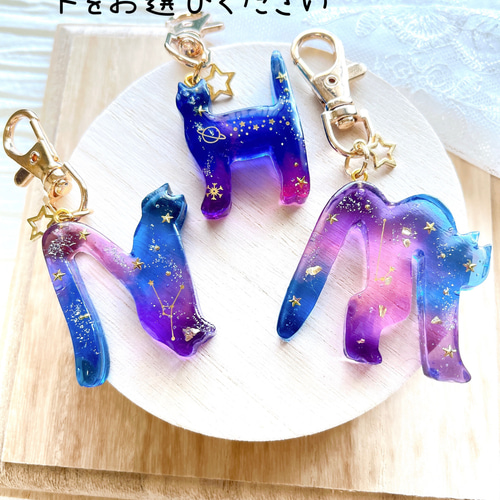 選べるイニシャル猫ちゃんイニシャルキーホルダー 宇宙 空 その他