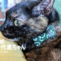 猫尽くめの和漢字首輪 7枚目の画像