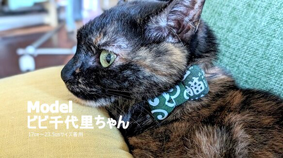 猫尽くめの和漢字首輪 7枚目の画像