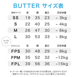  第6張的照片