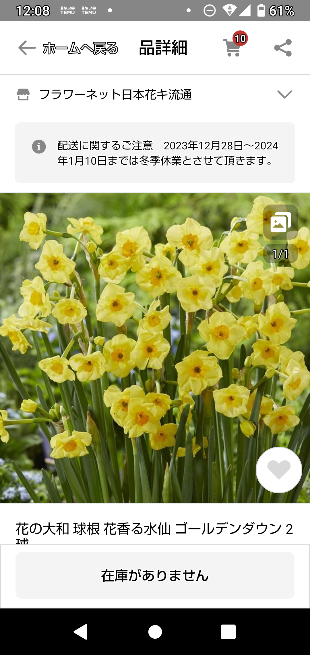 水仙球根 2球 2個 イエロー 黄色 八重咲き フリフリ ひらひら 【公式通販】