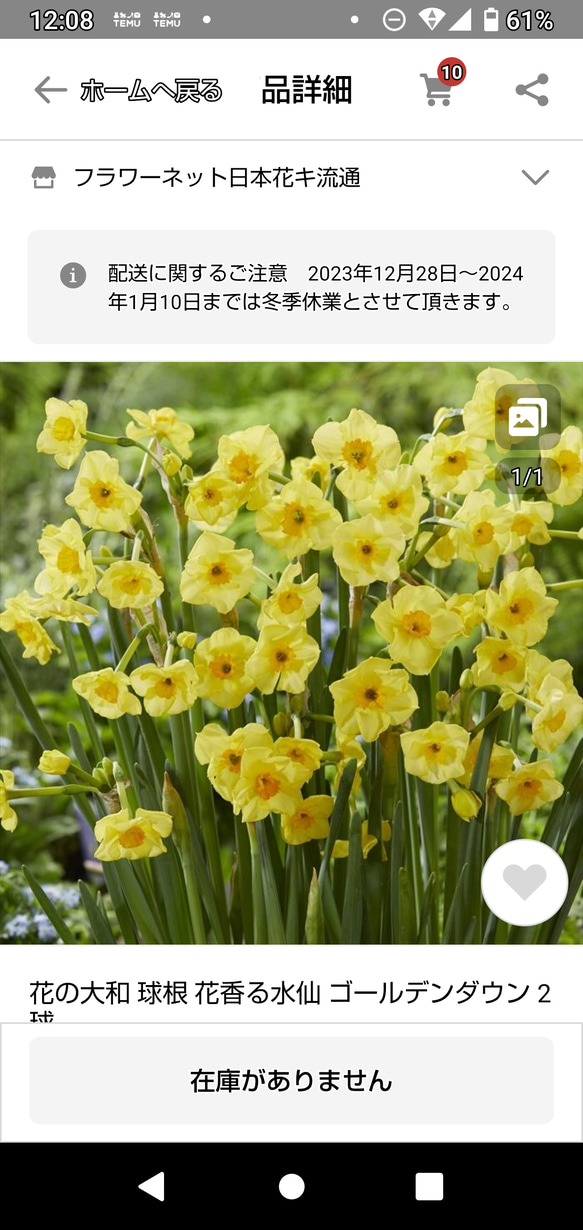 同梱で500円】バラ苗 挿し木苗 ポットのまま発送 お届け時に