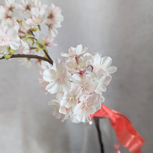 毎年きれい!桜のアレンジメント4点セット ひな祭り 和室 玄関 毎年きれい!桜のアレンジメント4点セット ひな祭り 和室 玄関