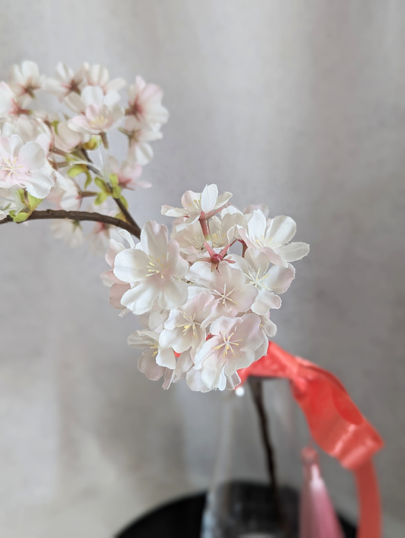 毎年きれい！桜のアレンジメント4点セット ひな祭り　　和室　玄関　インテリア 3枚目の画像