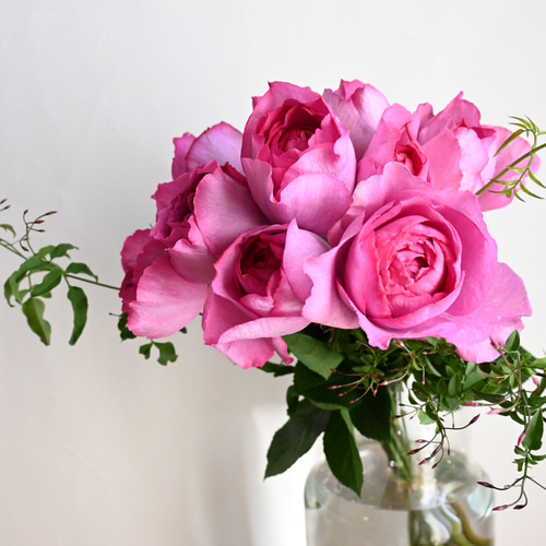 生花】フレグランスローズブーケ 薔薇“イヴ・ピアッチェ”の香り