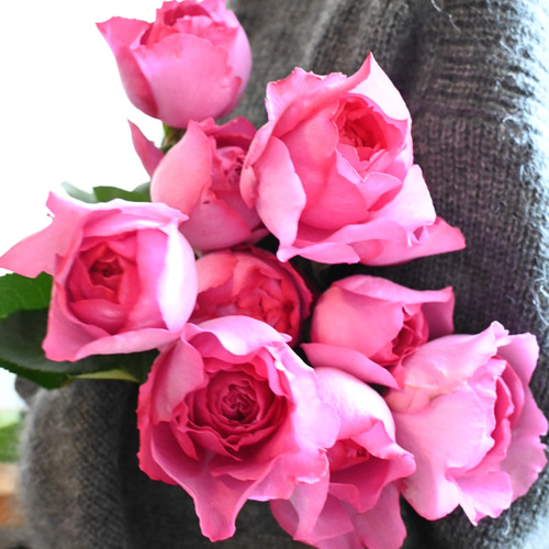 生花】フレグランスローズブーケ 薔薇“イヴ・ピアッチェ”の香り