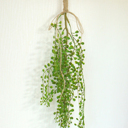 再販　空気を綺麗にする光触媒加工付き　フェイクグリーン　観葉植物　壁掛け　ウォールグリーン 4枚目の画像