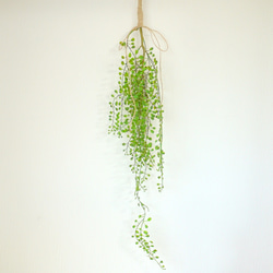 再販　空気を綺麗にする光触媒加工付き　フェイクグリーン　観葉植物　壁掛け　ウォールグリーン 2枚目の画像