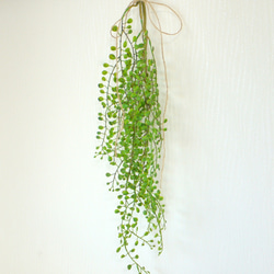 再販　空気を綺麗にする光触媒加工付き　フェイクグリーン　観葉植物　壁掛け　ウォールグリーン 6枚目の画像