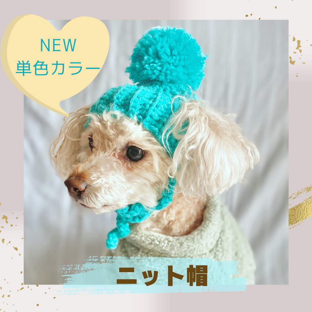 10/1♡わんちゃん♡ニット帽♡パネル♡ハンドメイド