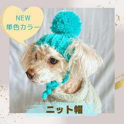 【犬 ニット帽】単色が大人可愛いニット帽 1枚目の画像