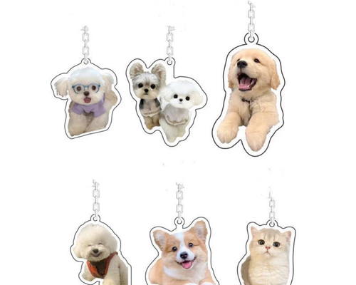 c8b827ba1337f2f9a81de032e13195