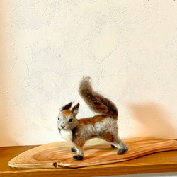 専用⭐︎ 羊毛フェルト エゾリス エゾリス冬毛 羊毛フェルト よっちみかん 通販 17073296｜Creema(クリーマ)