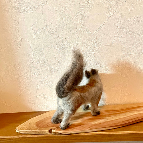 専用⭐︎ 羊毛フェルト エゾリス エゾリス冬毛 羊毛フェルト よっちみかん 通販 17073296｜Creema(クリーマ)