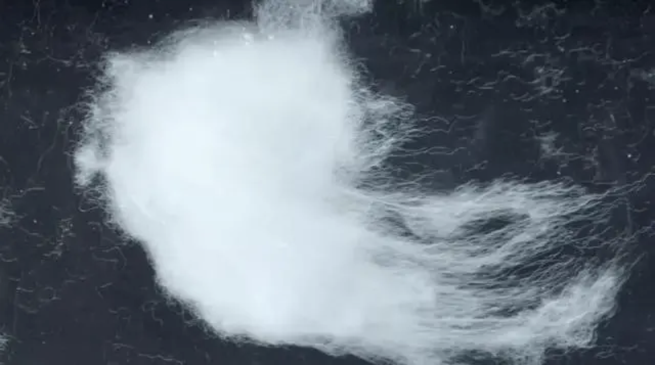 スヌード冬 ネックウォーマー スヌード マフラー メンズ ストール カシミヤ100% 内モンゴル製 世界最高のカシミヤ