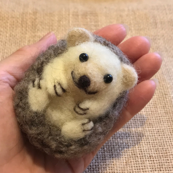 コロンとハリネズミくん 羊毛フェルト 羊毛フェルト felt.coco 通販 