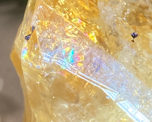 0bad12bf07333a1db08286f9e169d5