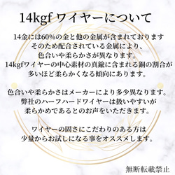 お年玉企画　お得　14kgf ラウンドワイヤー　0.3mm  0.4mm 60m  新春 福袋 5枚目の画像