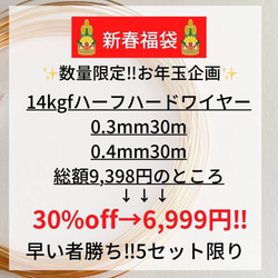 お年玉企画　お得　14kgf ラウンドワイヤー　0.3mm  0.4mm 60m  新春 福袋 1枚目の画像