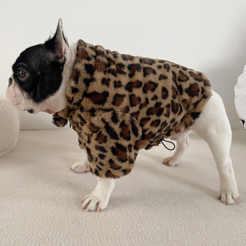 フレンチ・ブルドッグ 悪漢 バグ コーギー いぬ ぽっちゃりいぬ ふゆの