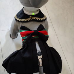 aiboの服女の子用スカイとスタイ 4枚目の画像