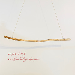流木インテリア シンプルで真っすぐな大型流木のハンガーラック 北欧 衣装掛 ハンギング 吊り下げ ハンガーポール N16 7枚目の画像