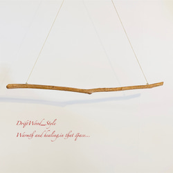 流木インテリア シンプルで真っすぐな大型流木のハンガーラック 北欧 衣装掛 ハンギング 吊り下げ ハンガーポール N17 7枚目の画像