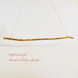 流木インテリア シンプルで真っすぐな大型流木のハンガーラック 北欧 衣装掛 ハンギング 吊り下げ ハンガーポール N18 7枚目の画像