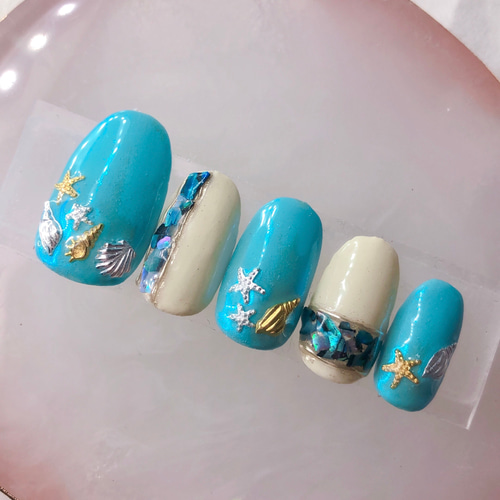 ブルーシェル ネイルチップ e45b61dce3242c2c8f109c37ed7dc5