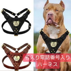 a82c7c7d9f520a3e422cc80b101aeb