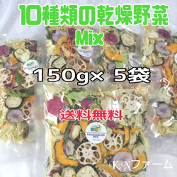 初売り \送料無料/ 1/31迄 【10種類の乾燥野菜Mix750g】 150g×5袋入 1枚目の画像